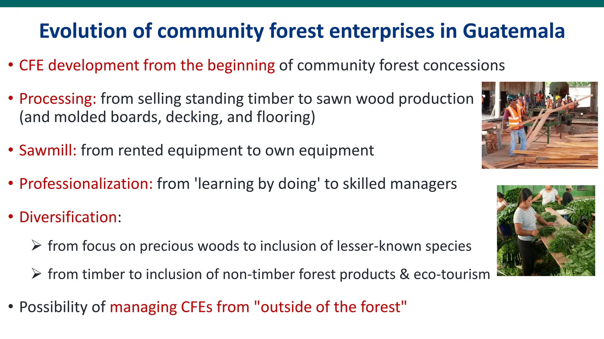 Evolution of community forest enterprises in Guatemala
• CFE development from the beginning of community forest concessions
• Processing: from selling standing timber to sawn wood production
(and molded boards, decking, and flooring)
• Sawmill: from rented equipment to own equipment
• Professionalization: from 'learning by doing' to skilled managers
• Diversification:
➢ from focus on precious woods to inclusion of lesser-known species
➢ from timber to inclusion of non-timber forest products & eco-tourism
• Possibility of managing CFEs from "outside of the forest"
 