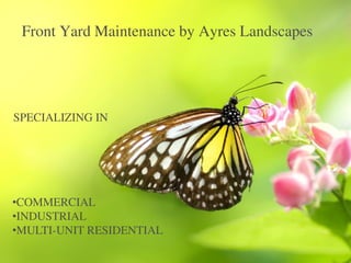 Front Yard Maintenance by Ayres Landscapes
•COMMERCIAL
•INDUSTRIAL
•MULTI-UNIT RESIDENTIAL
SPECIALIZING IN
 