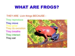 WHAT ARE FROGS?
THEY ARE Livin things BECAUSE :
They reproduce
They move
They grow
They do excretion
They breathe
They interact
They eat
 