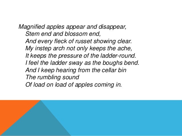 Literary analysis of after apple picking by robert frost