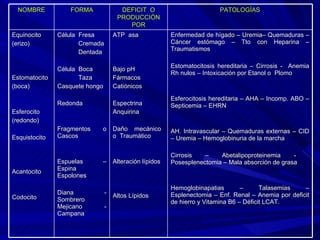 NOMBRE FORMA DEFICIT  O PRODUCCIÓN POR PATOLOGÍAS Equinocito  (erizo) Estomatocito (boca)  Esferocito (redondo) Esquistocito Acantocito Codocito Célula  Fresa Cremada Dentada Célula  Boca Taza Casquete hongo Redonda Fragmentos o Cascos Espuelas – Espina Espolones Diana - Sombrero Mejicano - Campana ATP  asa Bajo pH Fármacos Catiónicos Espectrina Anquirina Daño  mecánico  o  Traumático Alteración lípidos Altos Lípidos Enfermedad de hígado – Uremia– Quemaduras – Cáncer estómago – Tto con Heparina – Traumatismos Estomatocitosis hereditaria – Cirrosis -  Anemia Rh nulos – Intoxicación por Etanol o  Plomo Esferocitosis hereditaria – AHA – Incomp. ABO – Septicemia – EHRN AH. Intravascular – Quemaduras externas – CID – Uremia – Hemoglobinuria de la marcha Cirrosis – Abetalipoproteinemia -  Posesplenectomia – Mala absorción de grasa Hemoglobinapatias – Talasemias – Esplenectomia – Enf. Renal – Anemia por deficit de hierro y Vitamina B6 – Déficit LCAT. 