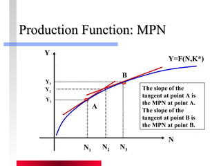 PPrroodduuccttiioonn FFuunnccttiioonn:: MMPPNN 
N 
Y 
Y=F(N,K*) 
N2 
Y3 
Y2 
Y1 
B 
A 
N1 N3 
The slope of the 
tangent at point A is 
the MPN at point A. 
The slope of the 
tangent at point B is 
the MPN at point B. 
 