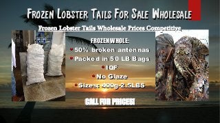 Frozen Lobster Tails For Sale WholesaleFrozen Lobster Tails For Sale Wholesale
Frozen Lobster Tails Wholesale Prices Compe...