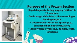 Comprehensive Guide to Frozen Section Technique in Surgical Pathology ...
