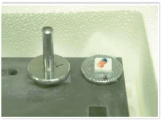 Frozen section and cryostat