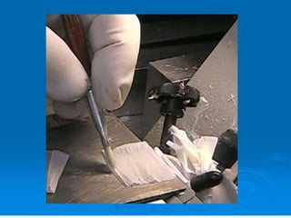 Frozen section and cryostat