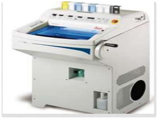 Frozen section and cryostat