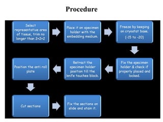 Frozen sections and other intraoperative | PDF