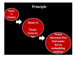 Frozen sections and other intraoperative | PDF