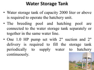 Water Storage Tank
• Water storage tank of capacity 2000 liter or above
is required to operate the hatchery unit.
• The breeding pool and hatching pool are
connected to the water storage tank separately or
together in the same water line.
• One 1.0 HP pump set with 2" suction and 2"
delivery is required to fill the storage tank
periodically to supply water to hatchery
continuously.
 