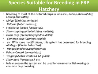 Species Suitable for Breeding in FRP
Hatchery
• breeding of most of the cultured carps in India viz., Rohu (Labeo rohita);
Catla (Catla catla);
• Mrigal (Cirrhinus mrigala);
• Kalbasu (Labeo calbasu);
• Fimbriatus (Labeo fimbriatus);
• Silver carp (Hypothalmichthys molitrix);
• Grass carp (Ctenopharyngodon idella);
• Common carp (Cyprinus carpio);
• etc. With some modifications, this system has been used for breeding
of Magur (Clarias batrachus);
• Pangasianodon hypophthalmus;
• Pabda (Ompok bimaculatus);
• Tengra (Mystus vittatus & M. gulio);
• Silver barb (Puntius sp.), etc.
• In lean season the system can be used for ornamental fish rearing or
common carp breeding.
 