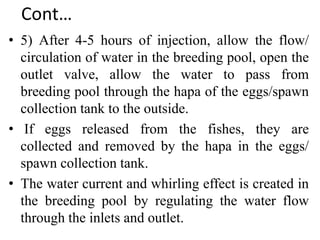 Cont…
• 5) After 4-5 hours of injection, allow the flow/
circulation of water in the breeding pool, open the
outlet valve, allow the water to pass from
breeding pool through the hapa of the eggs/spawn
collection tank to the outside.
• If eggs released from the fishes, they are
collected and removed by the hapa in the eggs/
spawn collection tank.
• The water current and whirling effect is created in
the breeding pool by regulating the water flow
through the inlets and outlet.
 