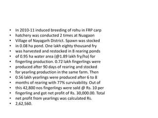 • In 2010-11 induced breeding of rohu in FRP carp
• hatchery was conducted 2 times at Nuagaon
• Village of Nayagarh District. Spawn was stocked
• in 0.08 ha pond. One lakh eighty thousand fry
• was harvested and restocked in 8 rearing ponds
• of 0.95 ha water area (@1.89 lakh fry/ha) for
• fingerling production. 0.72 lakh fingerlings were
• produced after 90 days of rearing and stocked
• for yearling production in the same farm. Then
• 0.56 lakh yearlings were produced after 6 to 8
• months of rearing with 77% survivability. Out of
• this 42,800 nos fingerlings were sold @ Rs. 10 per
• fingerling and got net profit of Rs. 30,000.00. Total
• net profit from yearlings was calculated Rs.
• 2,62,560.
 