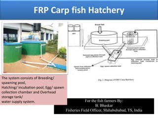FRP Carp fish Hatchery
For the fish farmers By:
B. Bhaskar
Fisheries Field Officer, Mahabubabad, TS, India
The system consists of Breeding/
spawning pool,
Hatching/ incubation pool, Egg/ spawn
collection chamber and Overhead
storage tank/
water supply system.
 