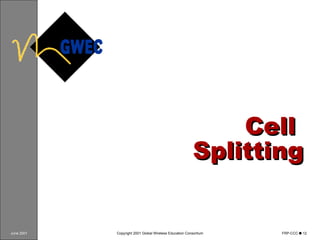 Cell  Splitting 