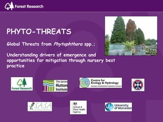 PHYTO-THREATS
Global Threats from Phytophthora spp.;
Understanding drivers of emergence and
opportunities for mitigation through nursery best
practice
 