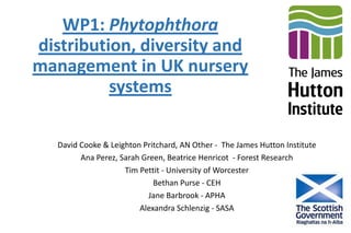 WP1: Phytophthora
distribution, diversity and
management in UK nursery
systems
David Cooke & Leighton Pritchard, AN Other - The James Hutton Institute
Ana Perez, Sarah Green, Beatrice Henricot - Forest Research
Tim Pettit - University of Worcester
Bethan Purse - CEH
Jane Barbrook - APHA
Alexandra Schlenzig - SASA
 