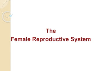 The
Female Reproductive System
 