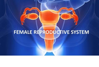 FEMALE REPRODUCTIVE SYSTEM
 
