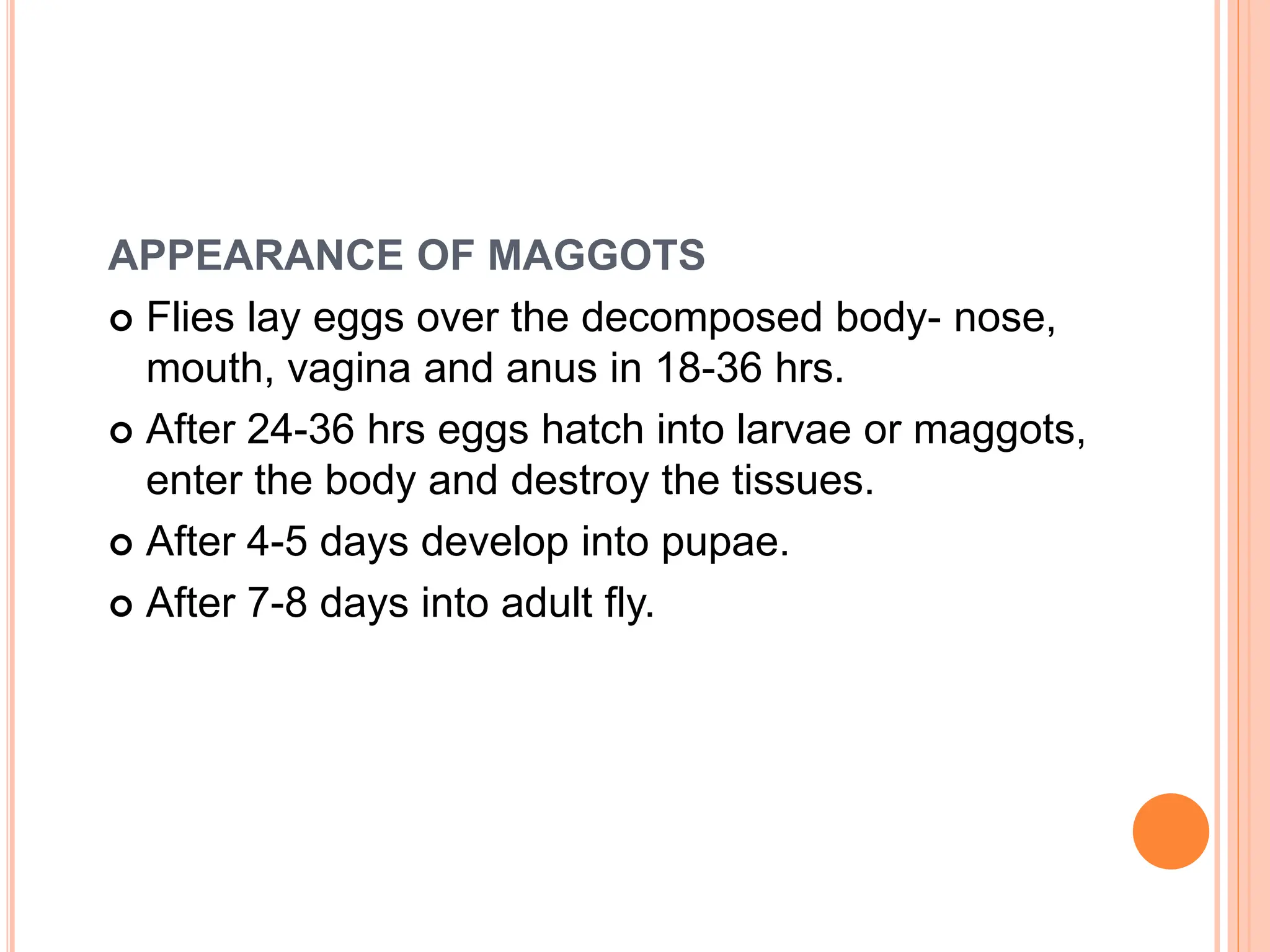 APPEARANCE OF MAGGOTS
 Flies lay eggs over the decomposed body- nose,
mouth, vagina and anus in 18-36 hrs.
 After 24-36 hrs eggs hatch into larvae or maggots,
enter the body and destroy the tissues.
 After 4-5 days develop into pupae.
 After 7-8 days into adult fly.
 