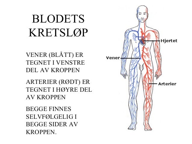 Førstehjelp Spisebordsstole