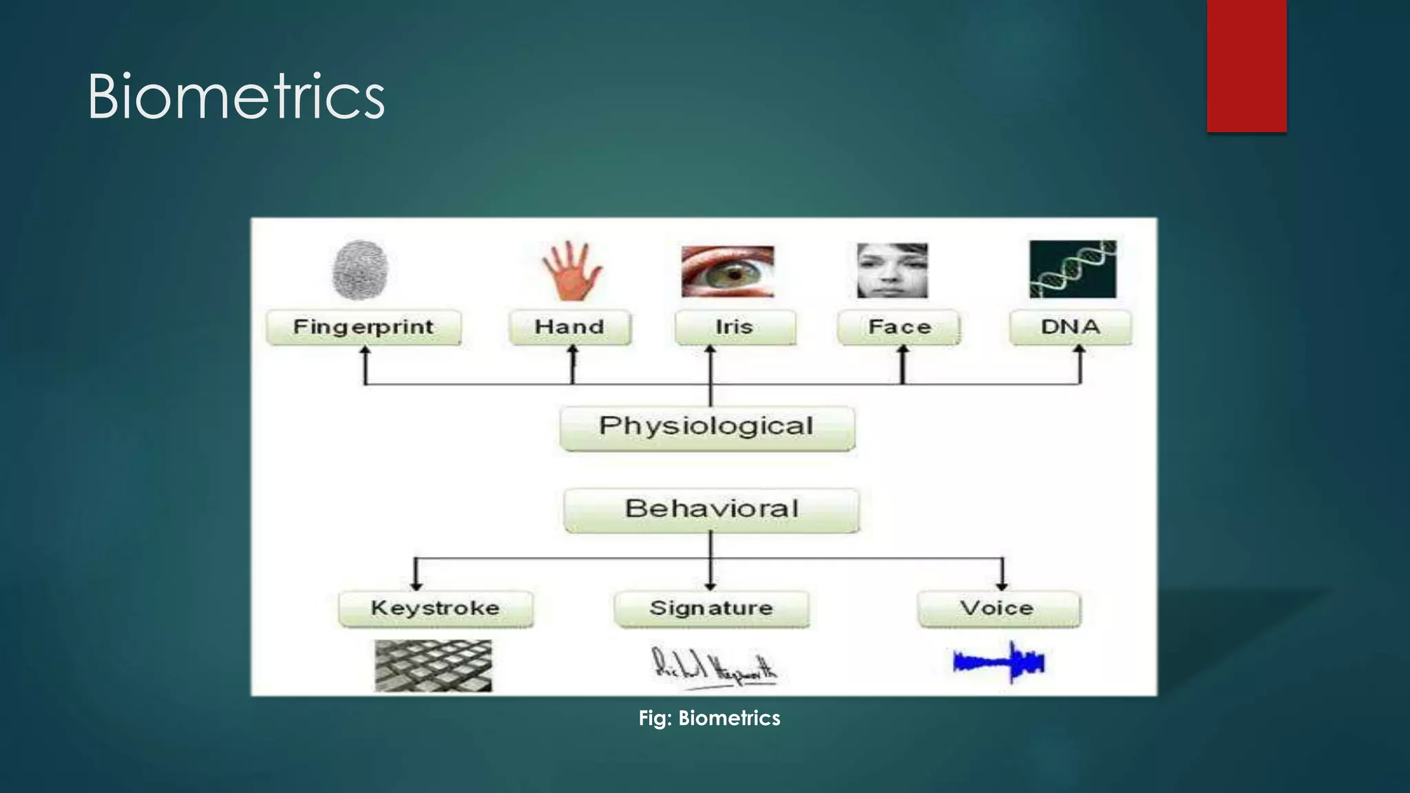 Biometrics
Fig: Biometrics
 