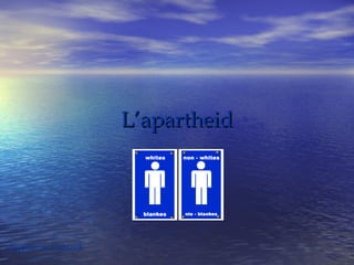 LL’’aappaarrtthheeiidd 
Stephanie Slabinck 
 