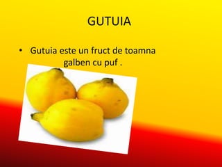Fructe de toamna | PPTX