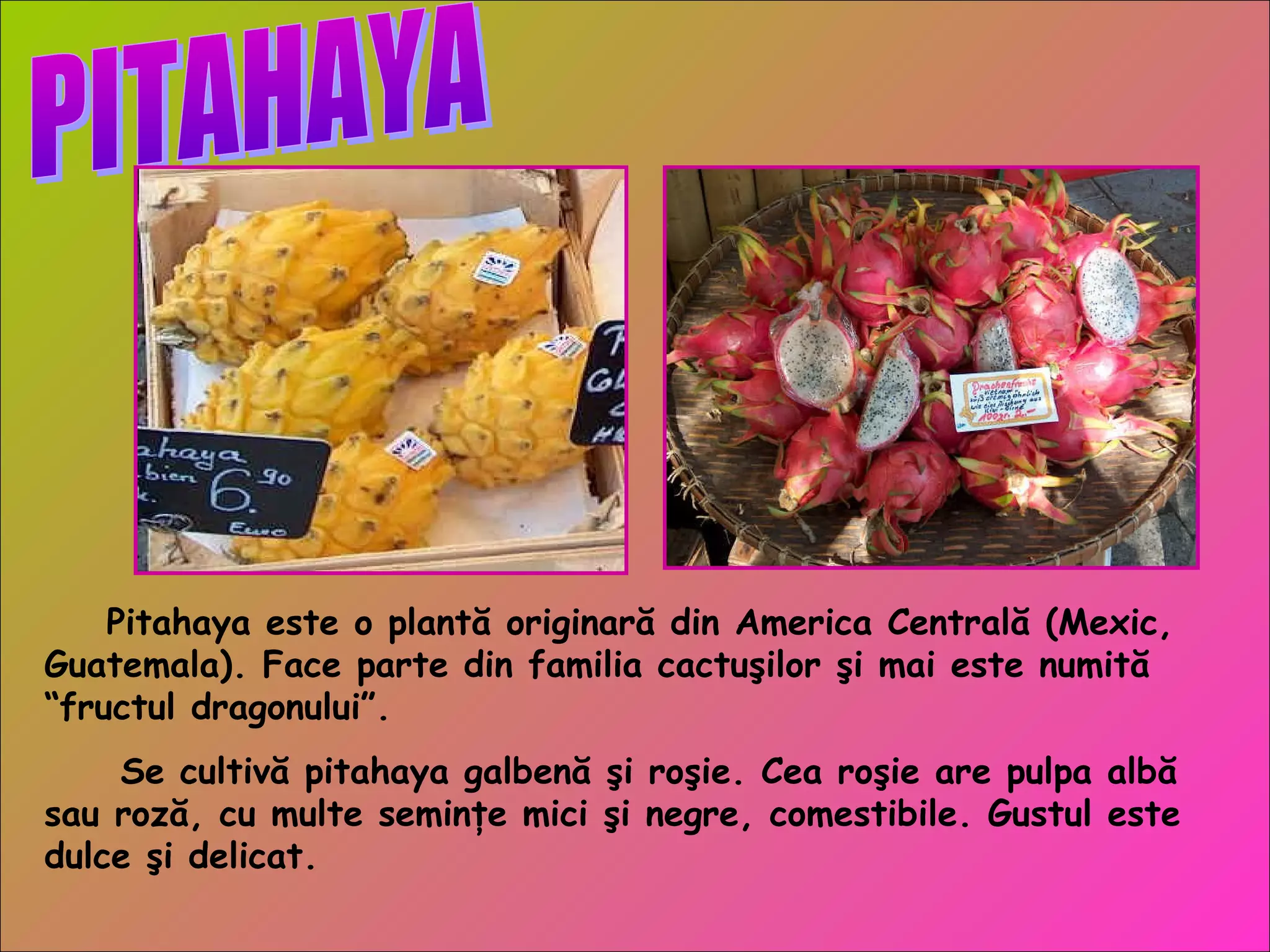 Pitahaya este o plantă originară din America Centrală (Mexic,
Guatemala). Face parte din familia cactuşilor şi mai este numită
“fructul dragonului”.
Se cultivă pitahaya galbenă şi roşie. Cea roşie are pulpa albă
sau roză, cu multe seminţe mici şi negre, comestibile. Gustul este
dulce şi delicat.
 