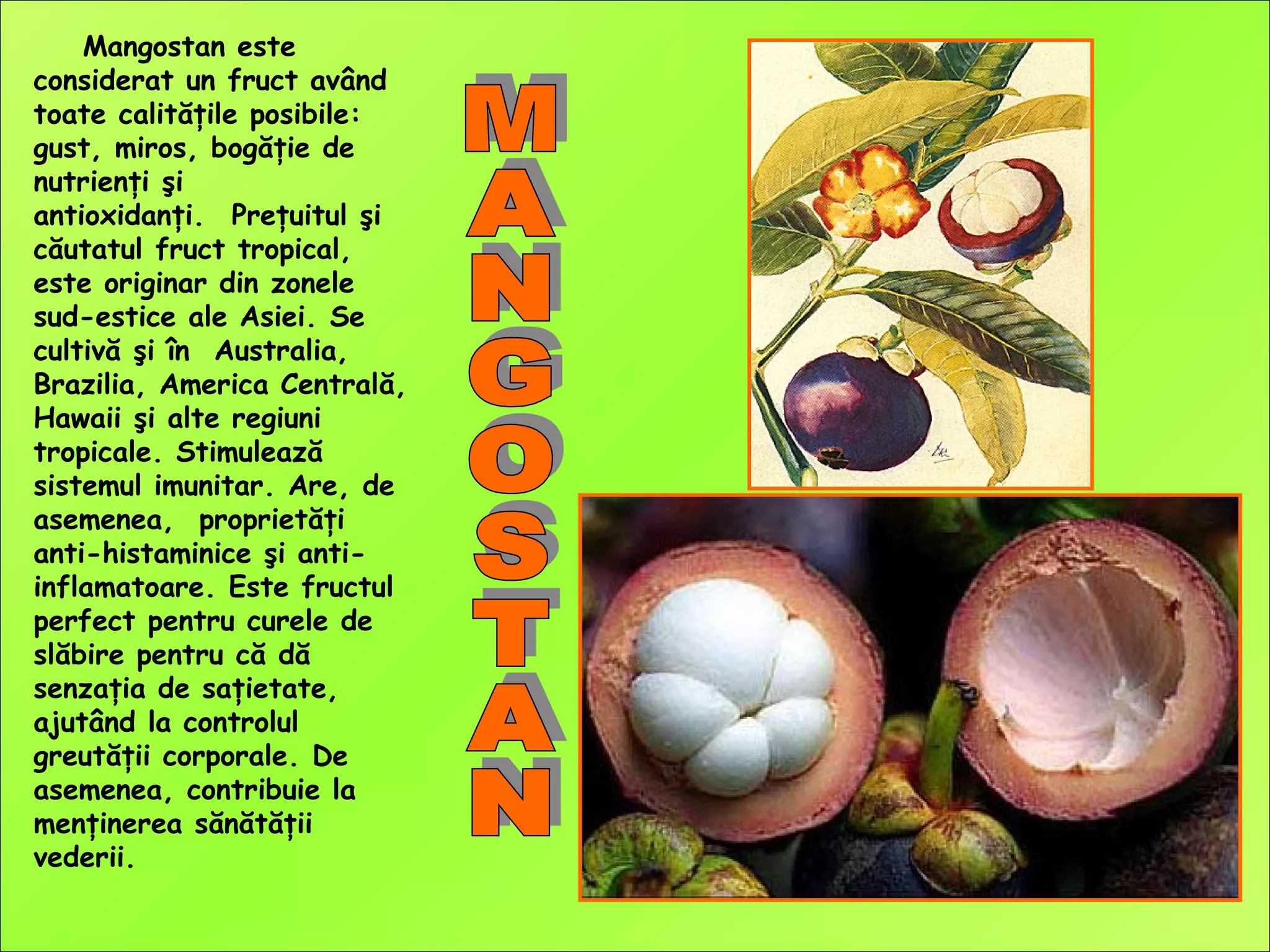 Mangostan este
considerat un fruct având
toate calităţile posibile:
gust, miros, bogăţie de
nutrienţi şi
antioxidanţi.  Preţuitul şi
căutatul fruct tropical,
este originar din zonele
sud-estice ale Asiei. Se
cultivă şi în Australia,
Brazilia, America Centrală,
Hawaii şi alte regiuni
tropicale. Stimulează
sistemul imunitar. Are, de
asemenea, proprietăţi
anti-histaminice şi anti-
inflamatoare. Este fructul
perfect pentru curele de
slăbire pentru că dă
senzaţia de saţietate,
ajutând la controlul
greutăţii corporale. De
asemenea, contribuie la
menţinerea sănătăţii
vederii.
 
 