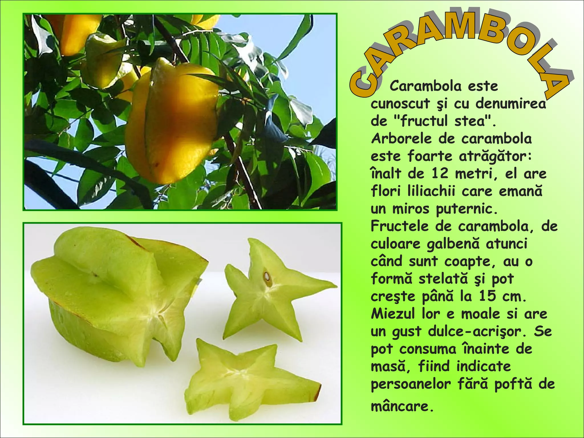 Carambola este
cunoscut şi cu denumirea
de "fructul stea".
Arborele de carambola
este foarte atrăgător:
înalt de 12 metri, el are
flori liliachii care emană
un miros puternic.
Fructele de carambola, de
culoare galbenă atunci
când sunt coapte, au o
formă stelată şi pot
creşte până la 15 cm.
Miezul lor e moale si are
un gust dulce-acrişor. Se
pot consuma înainte de
masă, fiind indicate
persoanelor fără poftă de
mâncare.
 