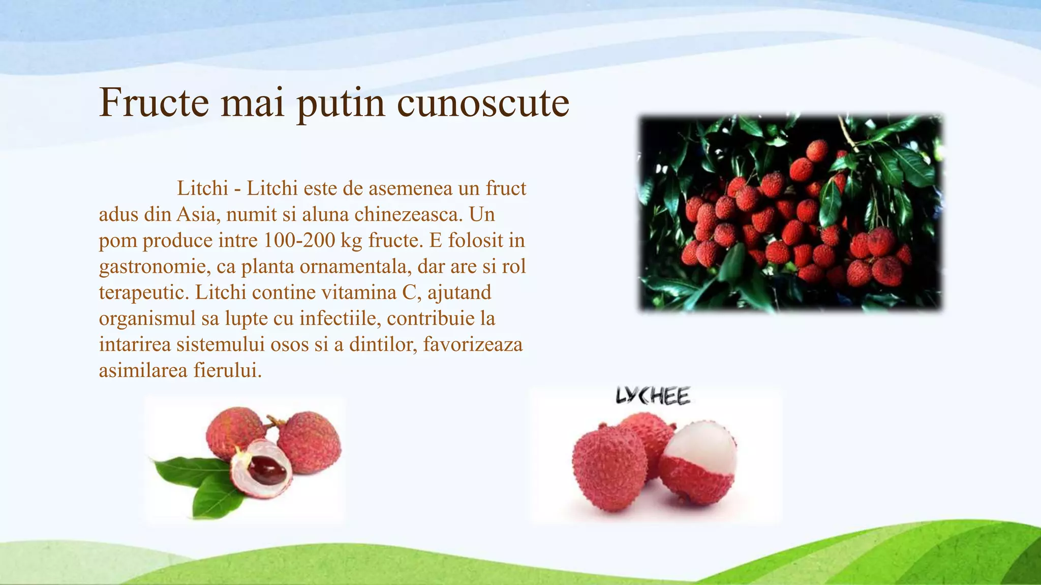 Fructe mai putin cunoscute
Litchi - Litchi este de asemenea un fruct
adus din Asia, numit si aluna chinezeasca. Un
pom produce intre 100-200 kg fructe. E folosit in
gastronomie, ca planta ornamentala, dar are si rol
terapeutic. Litchi contine vitamina C, ajutand
organismul sa lupte cu infectiile, contribuie la
intarirea sistemului osos si a dintilor, favorizeaza
asimilarea fierului.
 