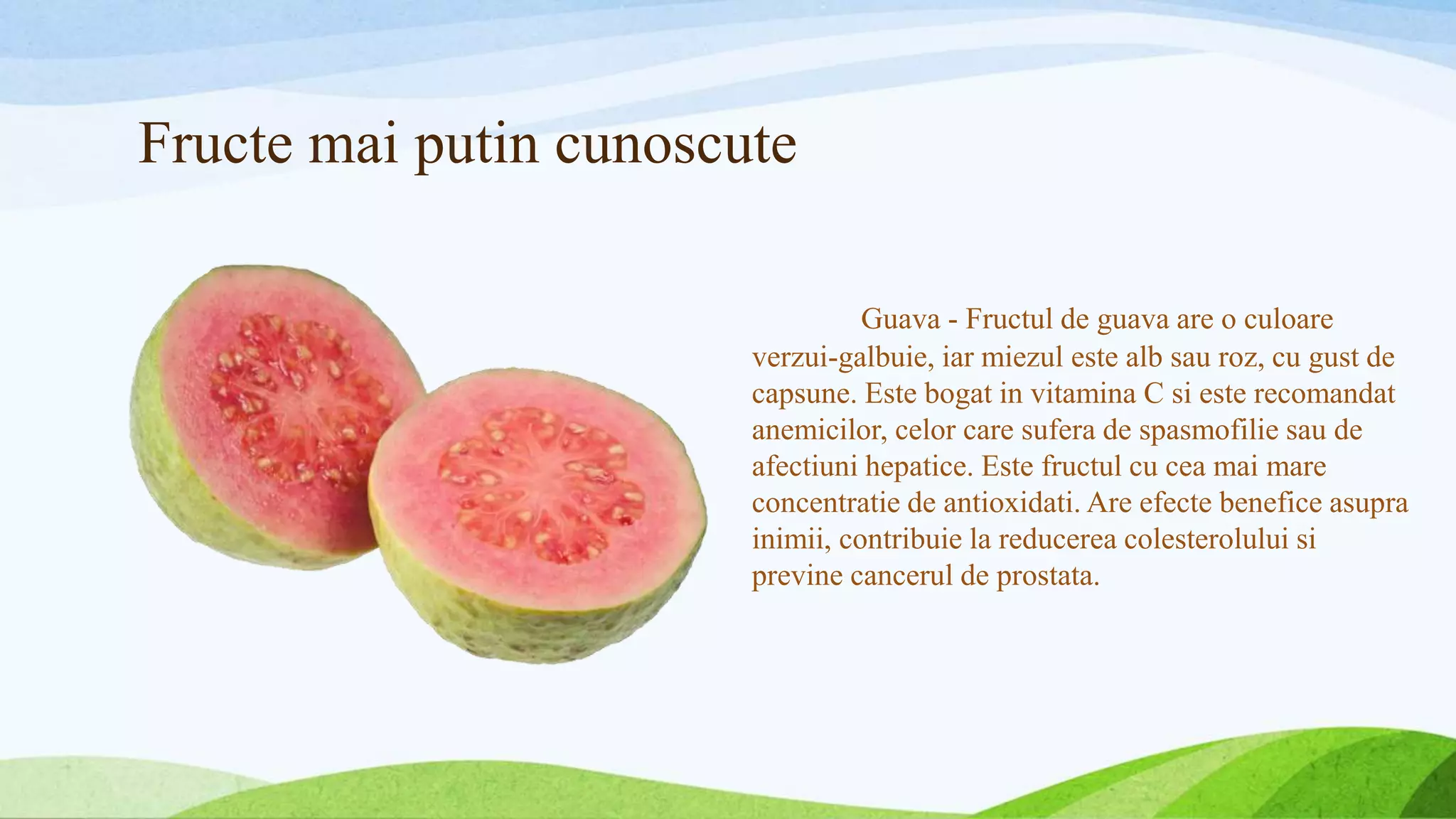 Fructe mai putin cunoscute
Guava - Fructul de guava are o culoare
verzui-galbuie, iar miezul este alb sau roz, cu gust de
capsune. Este bogat in vitamina C si este recomandat
anemicilor, celor care sufera de spasmofilie sau de
afectiuni hepatice. Este fructul cu cea mai mare
concentratie de antioxidati. Are efecte benefice asupra
inimii, contribuie la reducerea colesterolului si
previne cancerul de prostata.
 