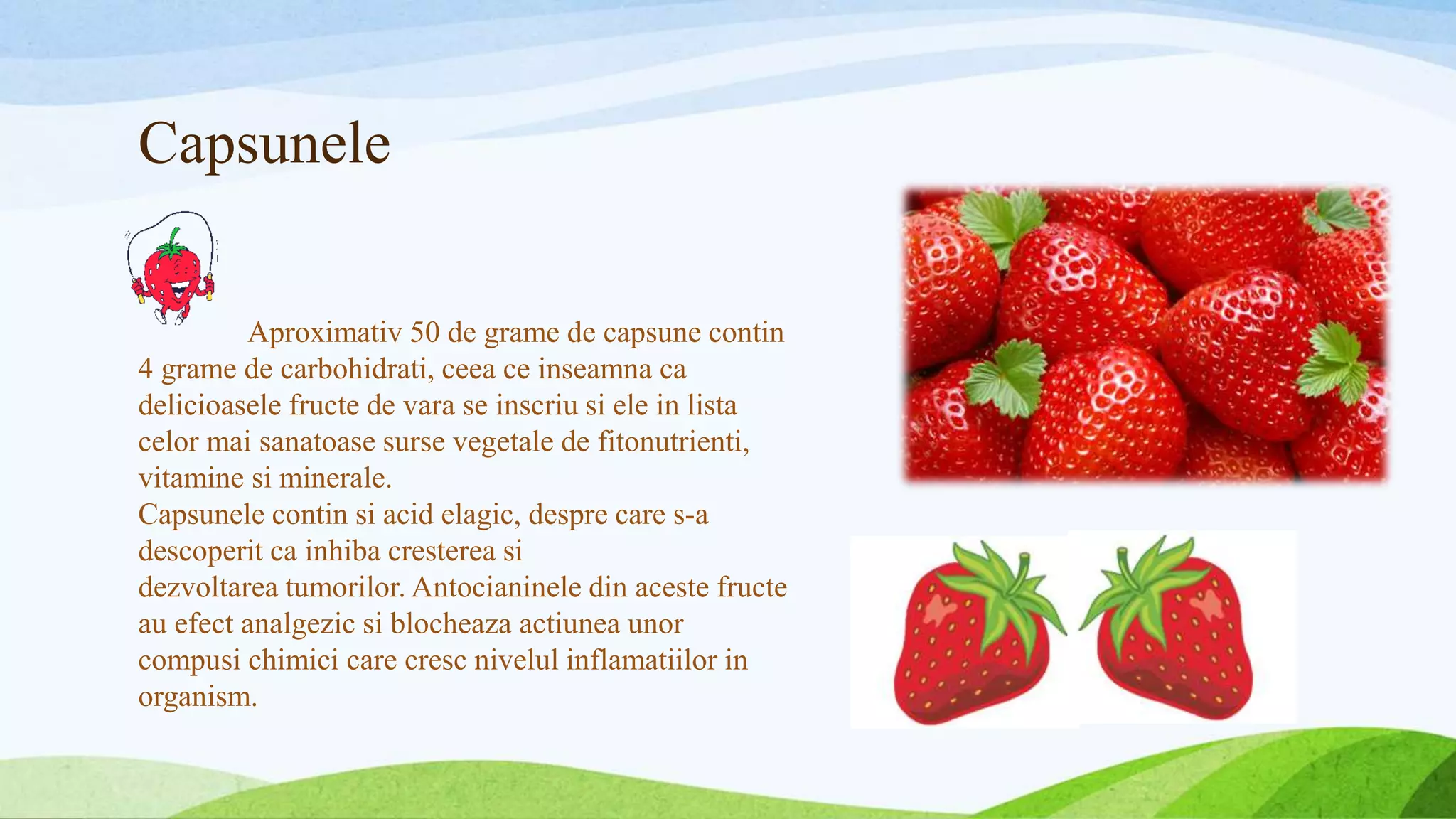 Capsunele
Aproximativ 50 de grame de capsune contin
4 grame de carbohidrati, ceea ce inseamna ca
delicioasele fructe de vara se inscriu si ele in lista
celor mai sanatoase surse vegetale de fitonutrienti,
vitamine si minerale.
Capsunele contin si acid elagic, despre care s-a
descoperit ca inhiba cresterea si
dezvoltarea tumorilor. Antocianinele din aceste fructe
au efect analgezic si blocheaza actiunea unor
compusi chimici care cresc nivelul inflamatiilor in
organism.
 
