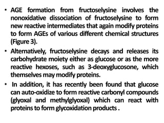 • AGE formation from fructoselysine involves the
nonoxidative dissociation of fructoselysine to form
new reactive intermediates that again modify proteins
to form AGEs of various different chemical structures
(Figure3).
• Alternatively, fructoselysine decays and releases its
carbohydrate moiety either as glucose or as the more
reactive hexoses, such as 3-deoxyglucosone, which
themselvesmaymodifyproteins.
• In addition, it has recently been found that glucose
can auto-oxidize to form reactive carbonyl compounds
(glyoxal and methylglyoxal) which can react with
proteinstoformglycoxidationproducts.
 