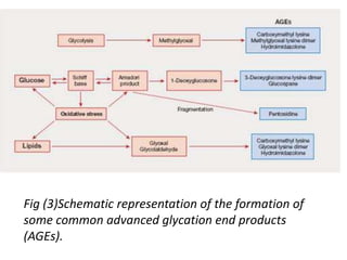 Fig (3)Schematic representation of the formation of
some common advanced glycation end products
(AGEs).
 