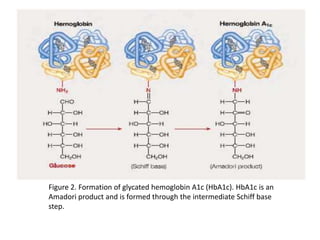 Figure 2. Formation of glycated hemoglobin A1c (HbA1c). HbA1c is an
Amadori product and is formed through the intermediate Schiff base
step.
 