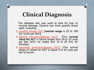 Clinical Diagnosis
The aldolase test was used to look for liver or
muscle damage. Doctors use more specific blood
tests, including:
O creatine kinase (CK) [normal range is 22 to 198
U/L (units per liter)].
O alanine aminotransferase (ALT) [The normal
value for ALT in blood ranges from 29 to 33 units
per liter (IU/L) for males and 19 to 25 IU/L for
females]
O aspartate aminotransferase (AST) [The normal
range of values for AST is about 5 to 40 units per
liter of serum.
 
