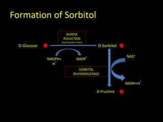 Formation of Sorbitol
D-Glucose
NADPH+
H
+
NADP
+
ALDOSE
REDUCTASE
(not found in liver)
D-Sorbitol
SORBITOL
DEHYDROGENASE
NAD+
NADH+H
+
D-Fructose
 