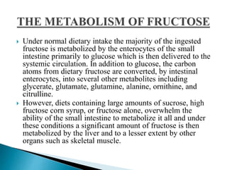  Under normal dietary intake the majority of the ingested
fructose is metabolized by the enterocytes of the small
intestine primarily to glucose which is then delivered to the
systemic circulation. In addition to glucose, the carbon
atoms from dietary fructose are converted, by intestinal
enterocytes, into several other metabolites including
glycerate, glutamate, glutamine, alanine, ornithine, and
citrulline.
 However, diets containing large amounts of sucrose, high
fructose corn syrup, or fructose alone, overwhelm the
ability of the small intestine to metabolize it all and under
these conditions a significant amount of fructose is then
metabolized by the liver and to a lesser extent by other
organs such as skeletal muscle.
 