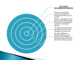 FRUCTOSE
METABOLISM PATHWAY
Fructose is converted to
fructose 1-phosphate by
fructokinase with the use of
an ATP.
Fructose 1-phosphate is then
split into glyceraldehyde and
dihydroxyacetone phosphate
by fructose 1-phosphate
aldolase.
The dihydroxyacetone feeds
into glycolysis at the triose
phosphate isomerase step.
The glyceraldehyde is
phosphorylated by triose
kinase to glyceraldehyde 3-
phosphate using another ATP
and so also enters glycolysis.
 