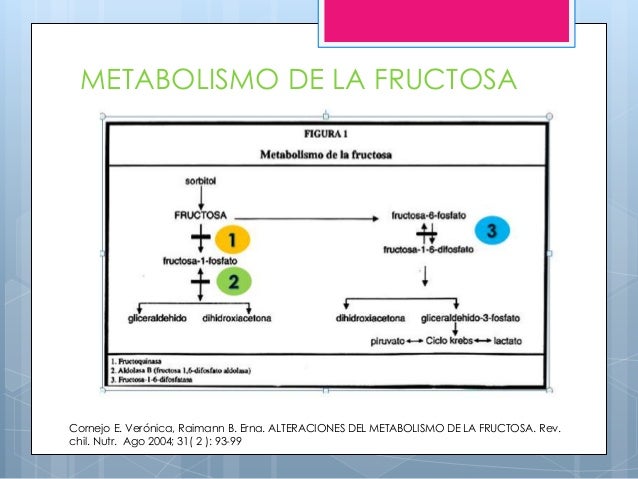 ¿Qué Es La Fructosemia? _ Intolerancia a la fructosa: síntomas y ...
