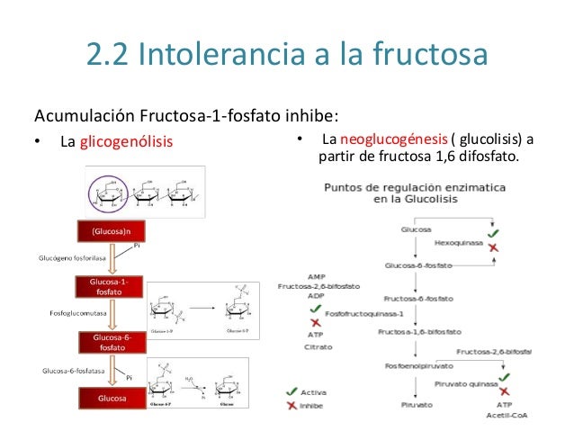 Fructosuria esencial e intolerancia a la fructosa Fructosuria esencial e intolerancia a la fructosa