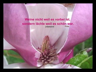 Weine nicht weil es vorbei ist,  sondern lächle weil es schön war. unbekannt   