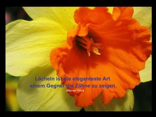 Lächeln ist die eleganteste Art einem Gegner die Zähne zu zeigen. Werner Finck   