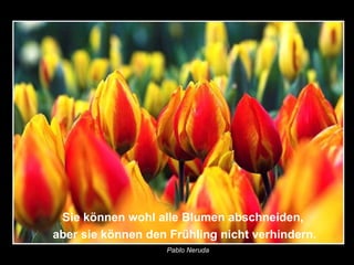 Sie können wohl alle Blumen abschneiden, aber sie können den Frühling nicht verhindern. Pablo Neruda   