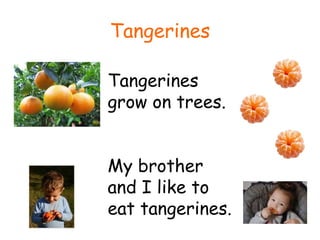 Tangerines Tangerines grow on trees. My brother and I like to eat tangerines. 