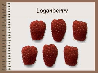 Fruit | PPT