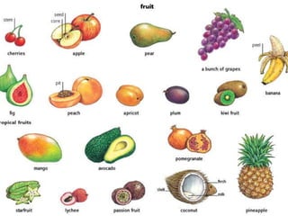 Fruit