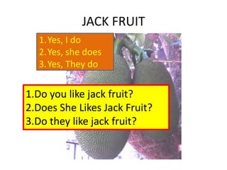 JACK FRUIT
1.Do you like jack fruit?
2.Does She Likes Jack Fruit?
3.Do they like jack fruit?
1.Yes, I do
2.Yes, she does
3.Yes, They do
 
